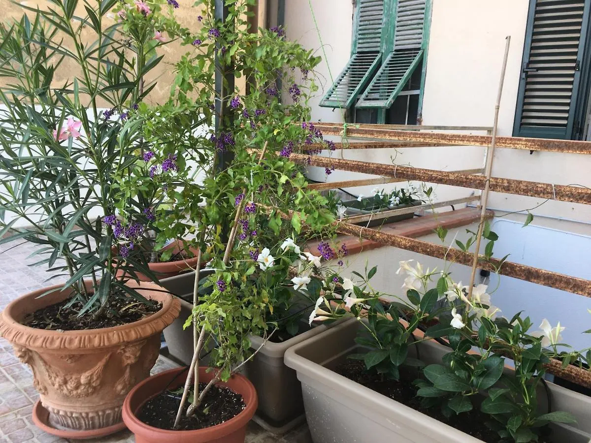 Appartamento Con Grande Terrazza Sul Mare Alguer Italia